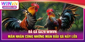 Đá gà GA28 WINVN – Mãn nhãn cùng những màn đấu gà nảy lửa