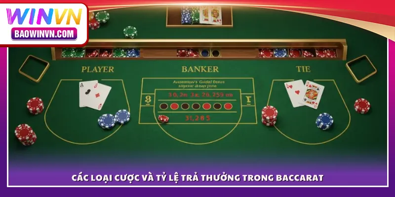 Baccarat WINVN – Sảnh cược hấp dẫn với dealer xinh đẹp Các loại cược và tỷ lệ trả thưởng trong Baccarat