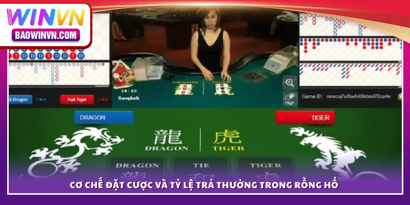 Rồng hổ WINVN – Cuộc đấu kịch tính giữa hai thế lực huyền thoại Cơ chế đặt cược và tỷ lệ trả thưởng trong Rồng Hổ