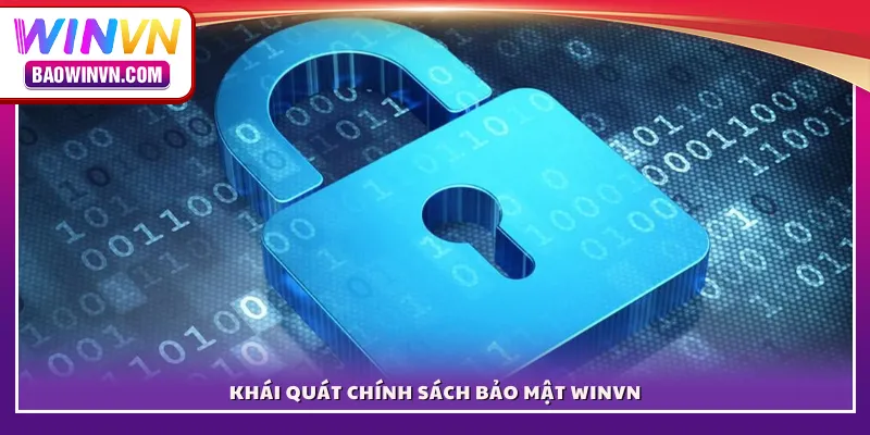 Khái quát chính sách bảo mật WINVN