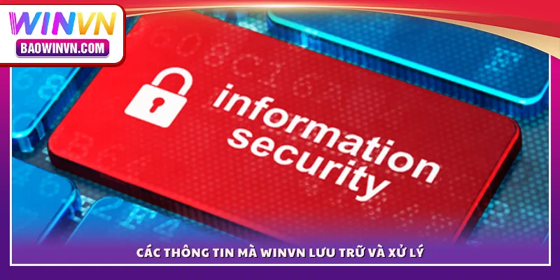 Các thông tin mà WINVN lưu trữ và xử lý