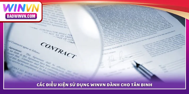 Các điều kiện sử dụng WINVN dành cho tân binh