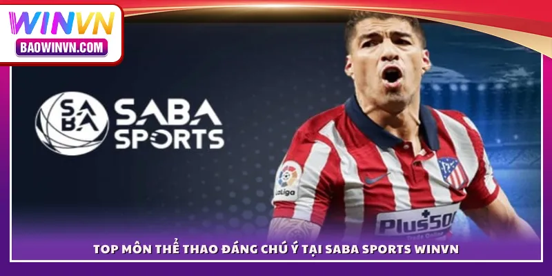 Top môn thể thao đáng chú ý tại SABA Sports WINVN