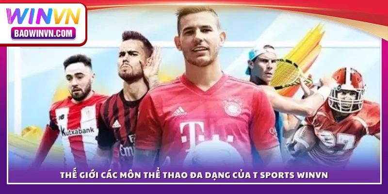 Thế giới các môn thể thao đa dạng của T Sports WINVN